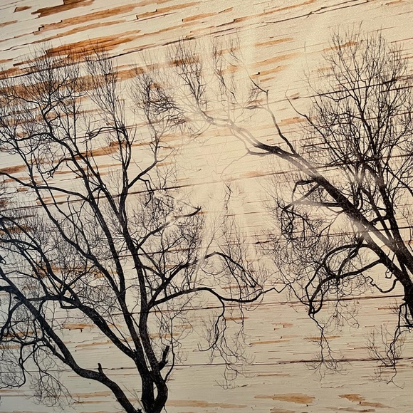 Sunburst Landscape Canvas - Picture 6 of 8